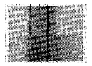 Chamberlain Garamita 9