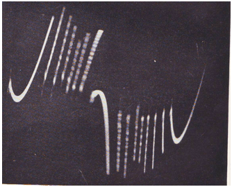 Chamberlain Garamita6